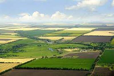 Land for Sale in Kawartha Lakes