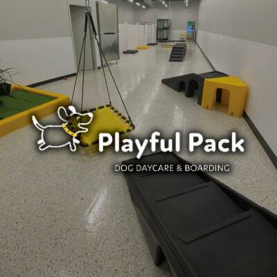 Playful Pack Dog Care & Boarding Franchise Opportunity in USA