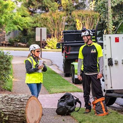 Monster Tree Service Franchise Opportunity in USA