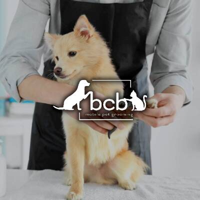 Bath, Cut, Brush - Pet Care & Grooming Franchise Opportunity