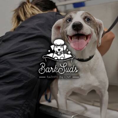 BarkSuds Bathed in Love - Pet Care & Grooming Franchise Opportunity