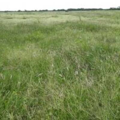 Fully Serviced Land for Sale Near Brampton