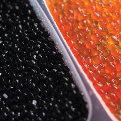 Establish Caviar Business For Sale in Toronto