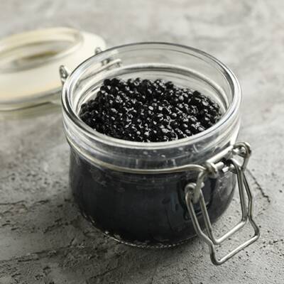 Establish Caviar Business For Sale in Toronto