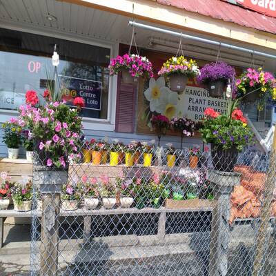 Money Making Variety Store For Sale In Niagara Area