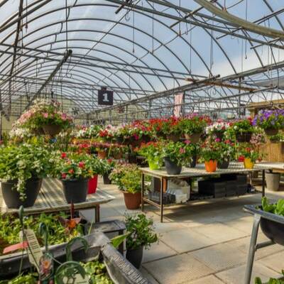 Garden Centre For Sale in Quinte West!