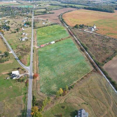 Vineyard for Sale in Prince Edward County