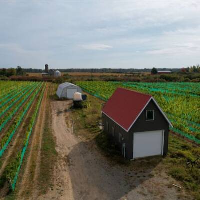 Vineyard for Sale in Prince Edward County