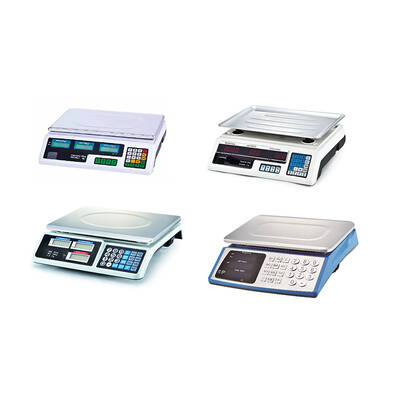 Manufacturing and Service of Electronic Scales