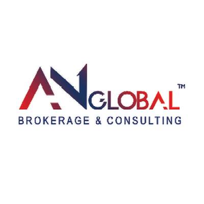 AN Global Brokerage and Consulting Franchise Opportunity