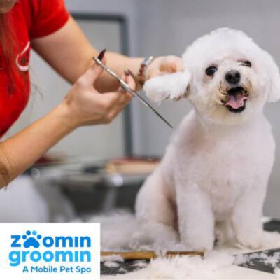 Established Zoomin Grooming Mobile Pet Spa Franchise in Rockwall, TX