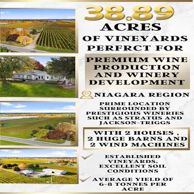 38.89 Acres of Vineyards Perfect For Wine Production and Winery Development