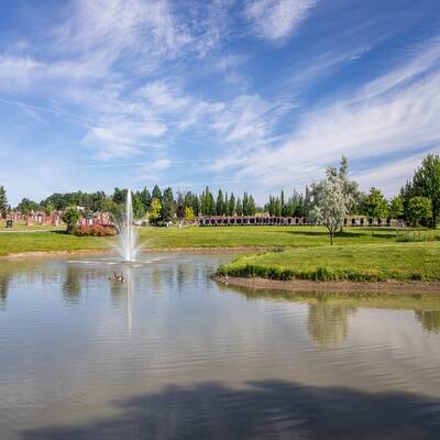 Cemetery Plots x 3, Stouffville/Gormley area