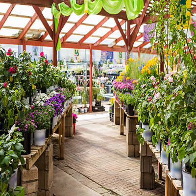 Well Established Flower and Garden Centre with Property