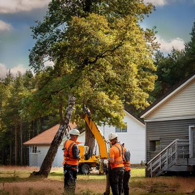 Established Tree Service Business For Sale in Waterloo Region