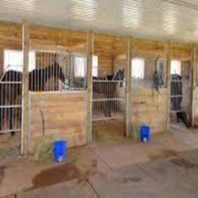 103 Acre Horse Riding Facility For Sale in Hamilton