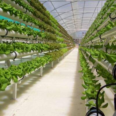 Holland Industry - Garden Distribution Business For Sale in Mississauga