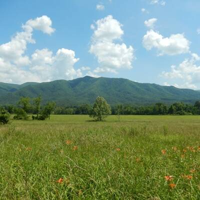 Development Land for Sale in Scarborough