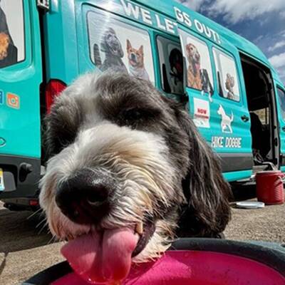 Hike Doggie Franchise Opportunity in USA
