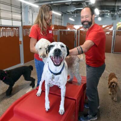 Camp Bow Wow Franchise Opportunity