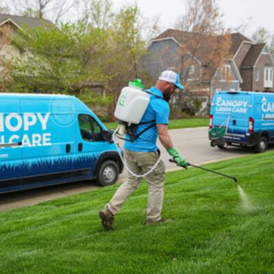 Canopy Lawn Care Franchise Opportunity in USA
