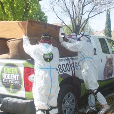 Green Rodent Restoration Franchise Opportunity in USA