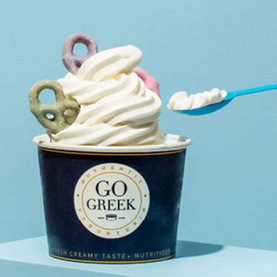 Go Greek Yogurt Franchise Opportunity in USA