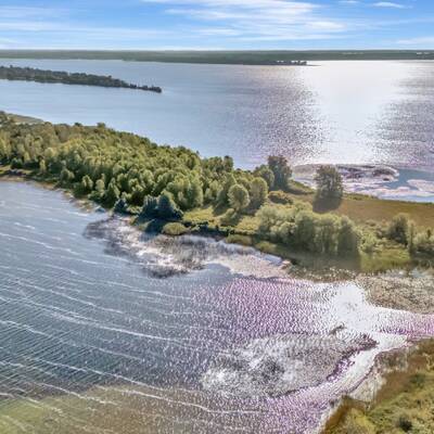 14.75 Acre Island FOR SALE in Prince Edward County