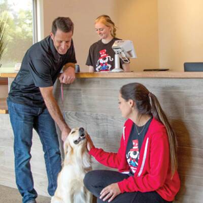 All American Pet Resort Franchise Opportunities
