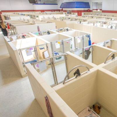 All American Pet Resort Franchise Opportunities