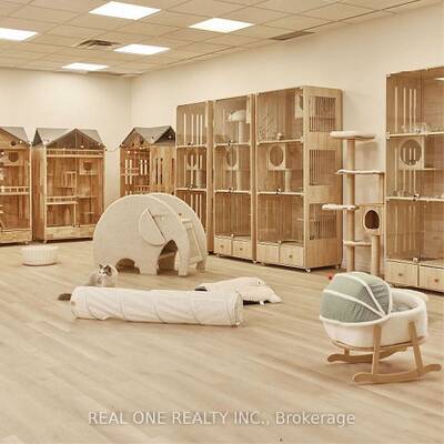 Profitable cat boarding centre for sale in Richmond Hill