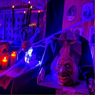 Christmas House & Halloween House Franchise Opportunity