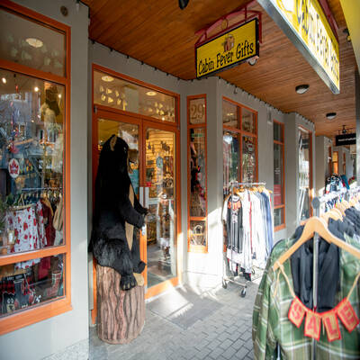 Cabin Fever - Whistler (Asking price $219,000)