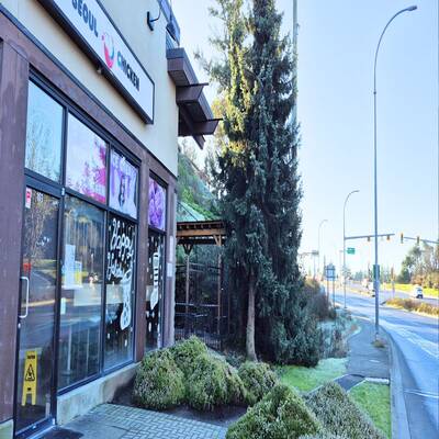 Well-established Korean Fried Chicken Restaurant （103-2455 Millstream Rd., Langford）