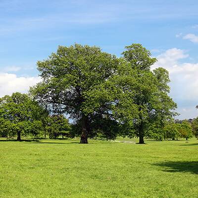 Land Development For Sale - 2.6 Acres!