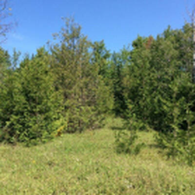 Land Development For Sale - 2.6 Acres!